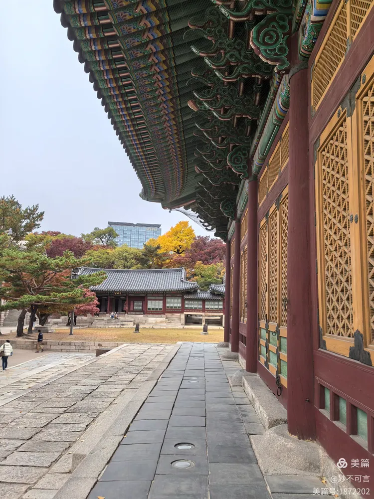 韩国旅游(韩国旅游签证要求)